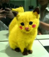 Image result for cool pictures