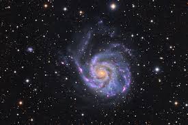Image result for m101