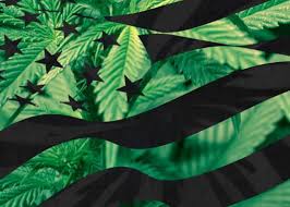 Resultado de imagen de Legalization