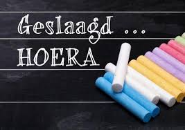 Afbeeldingsresultaat voor geslaagd in de kleuterklas