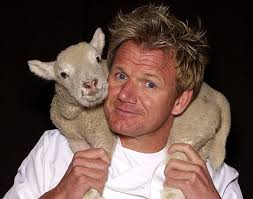 Gordon Ramsay wearing a baby lamb. Apparently Fox thinks America hasn&#39;t been yelled at by chef Ramsey quite enough yet, so they are sending him around the ... - Gordon-Ramsay-sheep