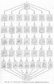 Résultat de recherche d'images pour "fingerprint types"