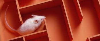 Image result for funny Gene cartoons