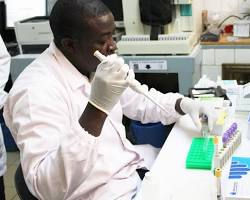 صورة Researchers working on malaria vaccine