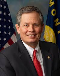 Daines officially files for re-election