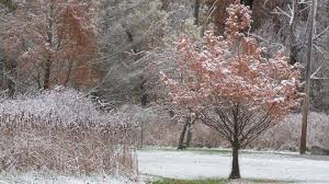 Blizzard-like conditions possible in some NY areas. Track how much snow has fallen