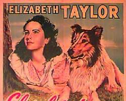 Lassie's Courage (1949) movie poster resmi