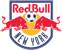 Image result for bundesliga logo 2015
