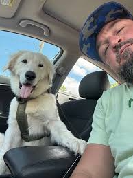 Images?q=tbn:ANd9GcTk4AytrNjlrXpWc7lWA4tgpP E1zXab0uLc9XBeHcP4NXtLzf0