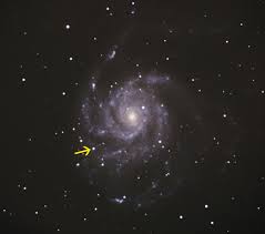 Image result for galaxy m101