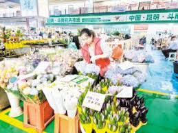 人民网 - News update
