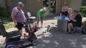 CTV News - News update