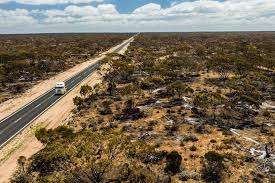 Travellers stranded on Nullarbor as fire shuts Eyre Highway