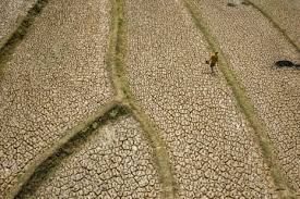 ‘Forcing a reckoning’: How Asia is preparing for a ‘supersized’ El Niño — The Guardian