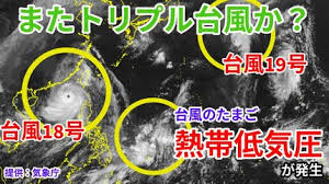 TBS NEWS DIG - News update
