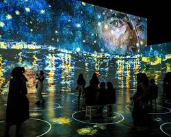 Image of Van Gogh exhibit in Chicago