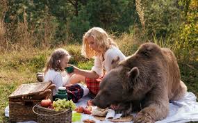 Image result for teddy bear picnic