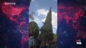 ویدیوهای منتسب به تجمع اعتراضی دانشجویان دانشگاه بیرجند - یکشنبه ۱۴ دی