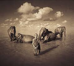 Elephants with monks - Gregory Colbert