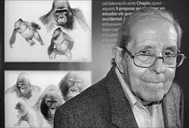 Jordi Sabater Pi (1922-2009), dibuixant, científic, naturalista i introductor de l&#39;etologia a l&#39;estat espanyol, va marxar a a l&#39;illa de Fernando Poo, ... - jordi-sabater_pi