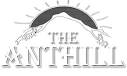 Anthill antiques Sydney