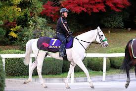 News source: Yahoo!ニュース