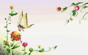 Image result for animated butterflies wallpaper