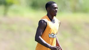 Com Domingos Andrade e Danilo Pereira, Botafogo divulga relacionados para clássico com Fluminense; Santi fica fora