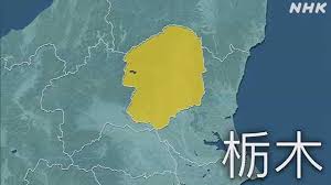 NHK - News update