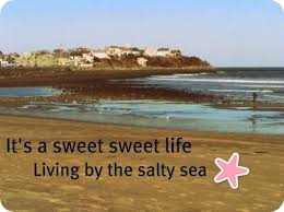 It&#39;s a sweet sweet life living by the salty sea.&quot; --&quot;Knee Deep&quot; by ... via Relatably.com