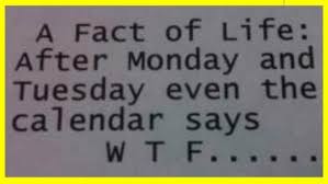 7896108_f520.jpg via Relatably.com