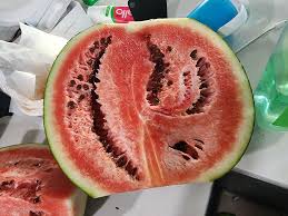 What went wrong with my watermelon? : r/fruit