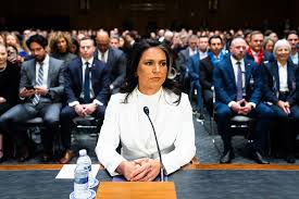 Intelligence head Tulsi Gabbard asks Justice to investigate alleged leaks