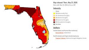 Rainy days in Florida weather forecast, localized flooding possible