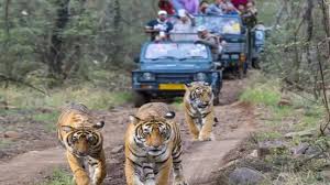 Times of India - News update
