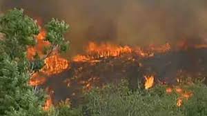 Image result for OUT OF CONTROL FOREST FIRE