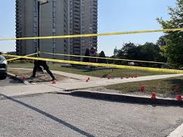 CityNews Toronto - News update