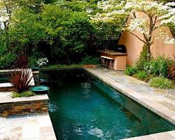 صورة Traditional swimming pool