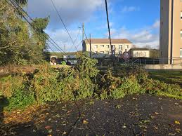 News source: Le Progrès