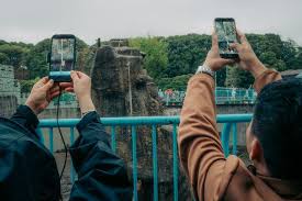 2 Americans Detained in Japan After Entering Punch the Monkey’s Zoo Enclosure