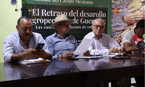 Urgen medicamentos para frenar gusano barrenador en ganado de Guerrero