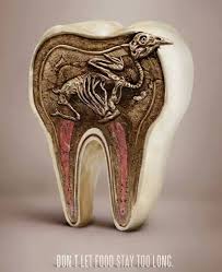 Smiling pearls | Mumbai