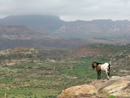 Image result for Ethiopia