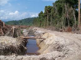 Image result for indonesia water pollution
