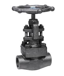 Forged Steel Globe Valves | Globe Valves Manufacturer - IPC
