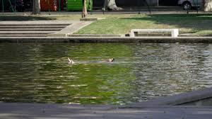 Tiempo en Rosario: Miércoles caluroso con algunas chances de tormentas