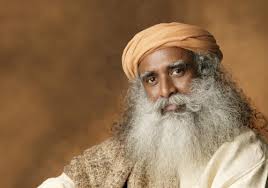 Old Yogi