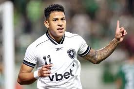 botafogo x chapecoense