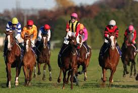 News source: スポーツナビ