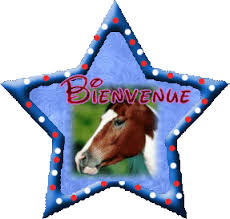 R&eacute;sultat de recherche d'images pour "cheval animation"